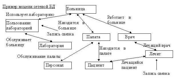 Сетевые данные пример. Сетевая модель баз данных примеры. Сетевая модель БД пример. Пример сетевой схемы БД. Сетевую базу данных пример.