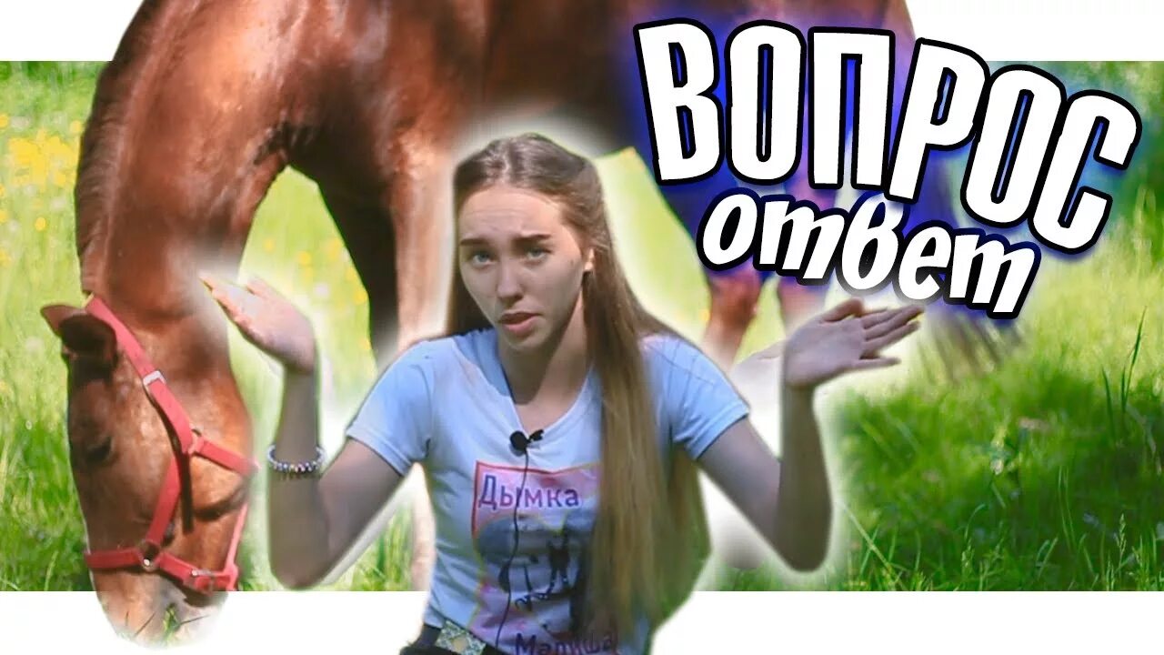 Обложка вопрос ответ. Видео ответ 2. Вопрос-ответ. Дневник конноблогера. Вопрос 2.