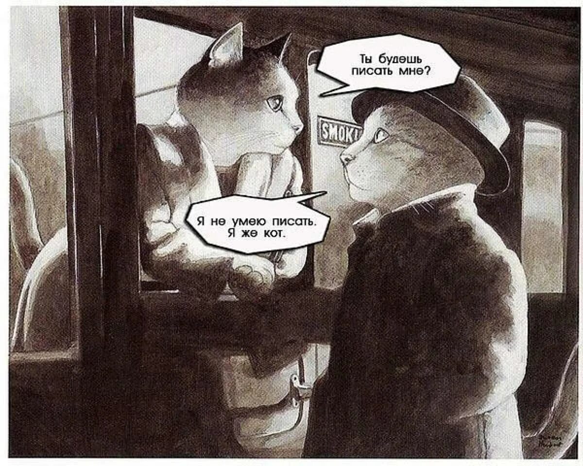 Кот с тетрадкой. Ты будешь мне писать я кот. Почему важно писать просто. Юмор и любовь два самых мощных болеутоляющих. Прежде чем диагностировать у себя депрессию и заниженную.