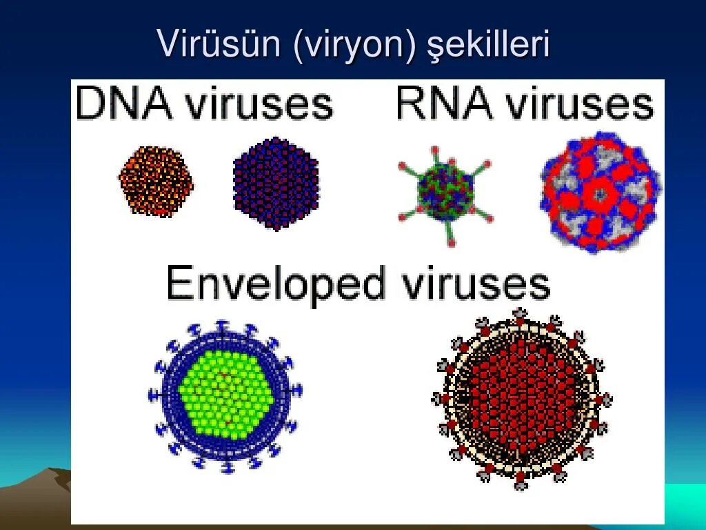 Вирус. РНК вирусы. Вирус DNA. ДНК вирусы и РНК вирусы.