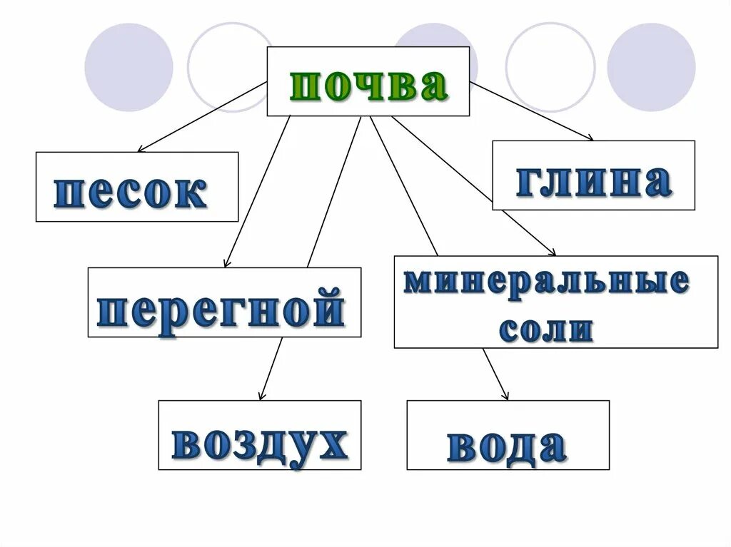 Почвы 6 кл. Почвы презентация 6 класс. почвы 6 класс. что можно написать по теме кто живёт в почве 6 класс конспект.