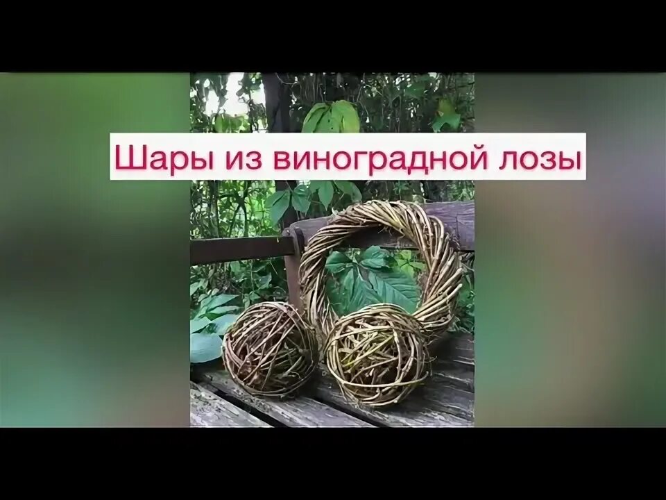 Как сделать шар из лозы. Шары из девичьего винограда своими руками.