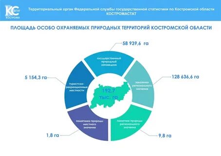 Население костромы на 2024 год