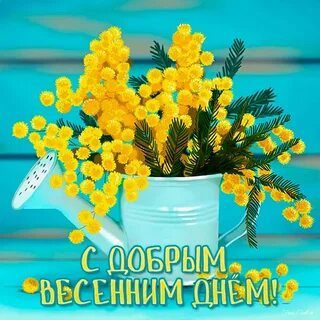 Картинки с новым весенним днем красивые пожеланиями