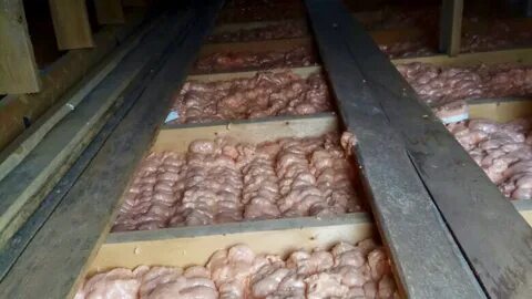 Как утеплить пол в курятнике