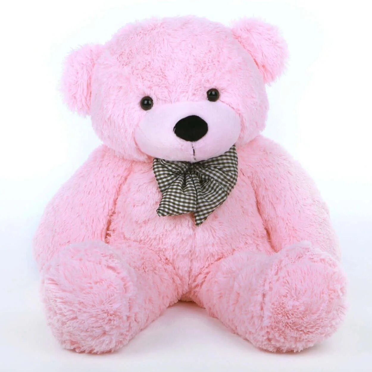 Teddy bear colors