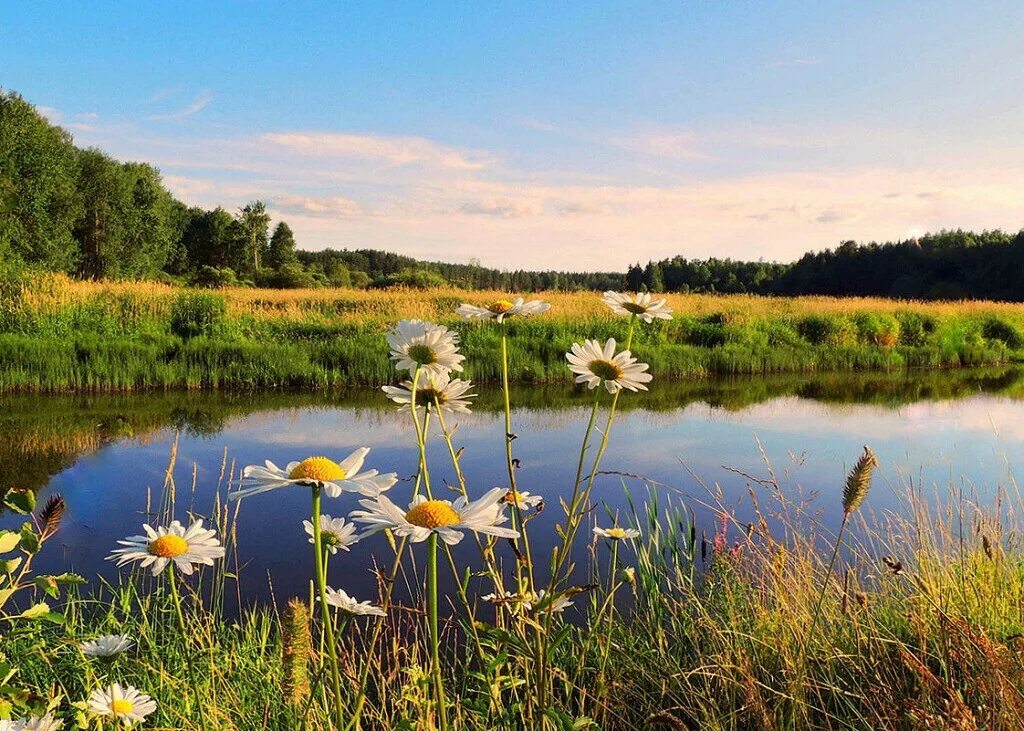Русские летом на речке. Луга Ростовской области. Летний пейзаж. Природа летом. Летом у реки.