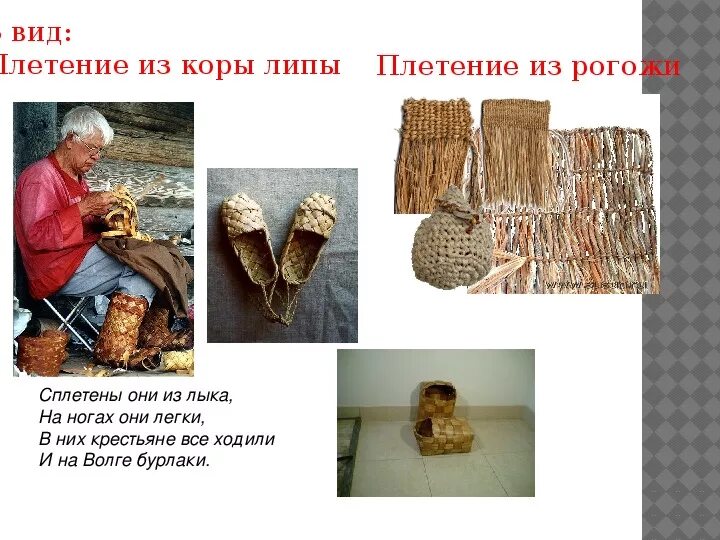 Лубяные волокна коры липы. Волокна из коры липы сканворд. Волокна из коры липы сканворд. Мочалка липовое лыко. Волокна из коры липы сканворд.
