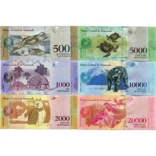 1000 5000