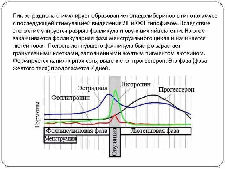 Пролактин по циклу. ФСГ гормон уровни. Норма половых гормонов в 1 фазе. График эстрадиола по дням цикла. Пролактин график по дням цикла.