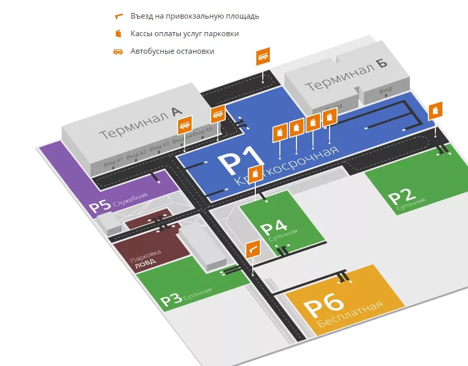 Автобусы аэропорт толмачево новосибирск барнаул. Парковка Толмачево Новосибирск схема. Аэропорт Толмачево парковка. Схема парковки толмачёво аэропорт. Схема аэропорта Толмачево Новосибирск.