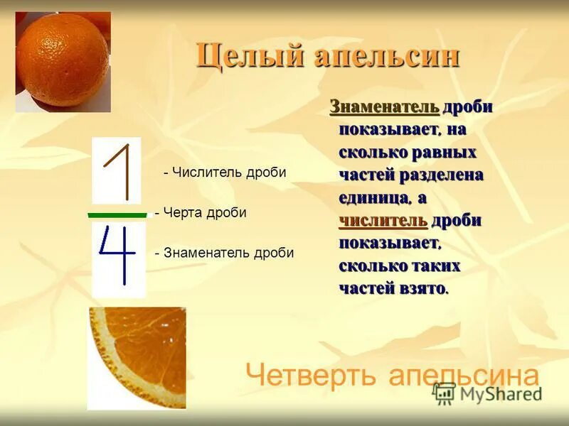 Знаменателем дроби является число. Числитель дроби показывает на сколько. Числитесь знаминатесь. Что показывает знаменатель дроби. Сислитель знаменатеоь.