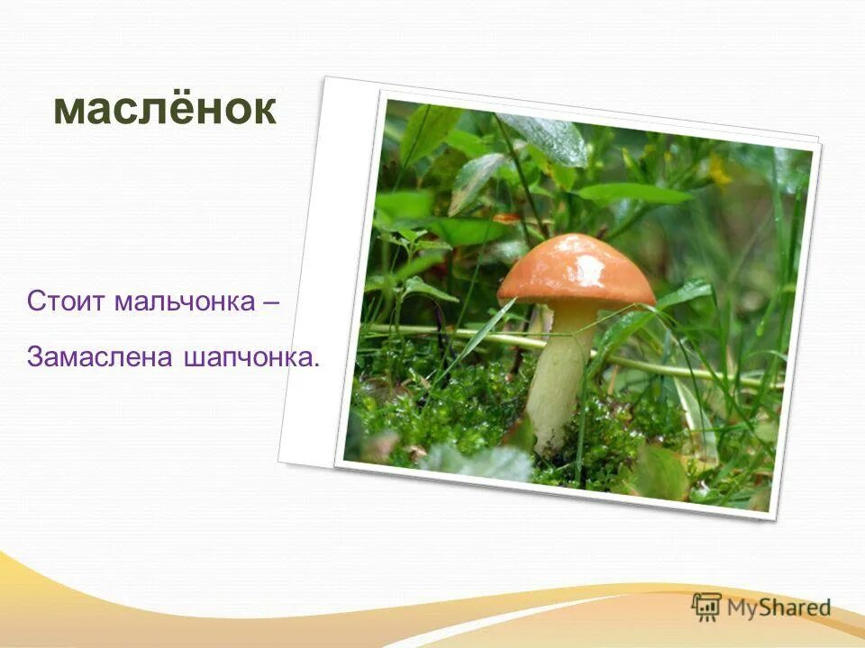 Рыжий мальчик. Зеленоглазый мальчик. Шапчонка как проверить. Мальчик с рыжими волосами. Рыжий мальчик.