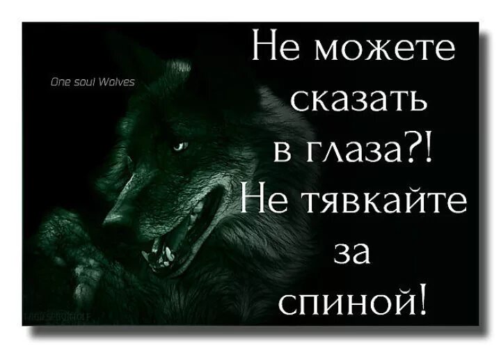 Песня бывший всегда за спиной говорят. Не можешь сказать в глаза. Не можешь сказать в глаза не тявкай за спиной. Не можете сказать в глаза не тявкайте. За спиной цитаты.