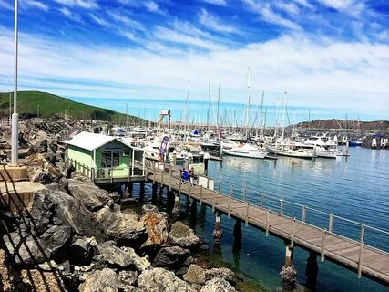 New harbour