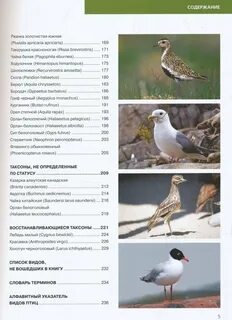 Красная книга список птиц