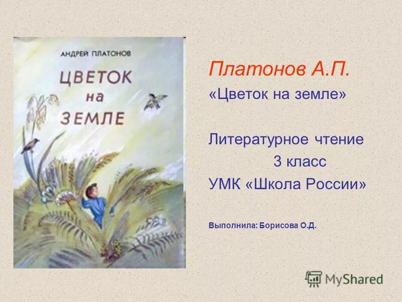 Краткий пересказ рассказа цветок на земле. А П Платонов цветок на земле. Цветок на земле а. Платон.