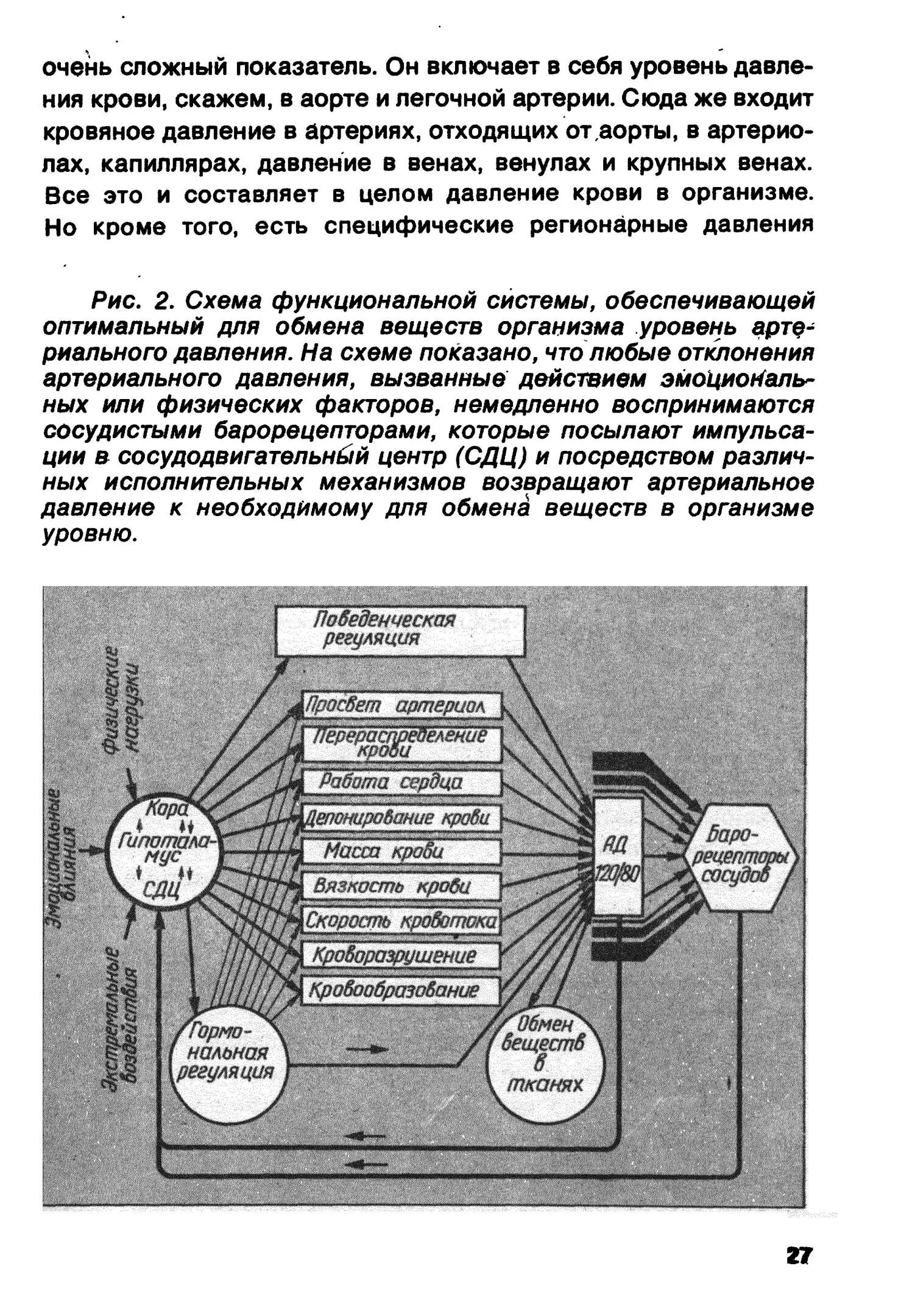 Функциональная система осмотического давления. Функциональная система осмотического давления