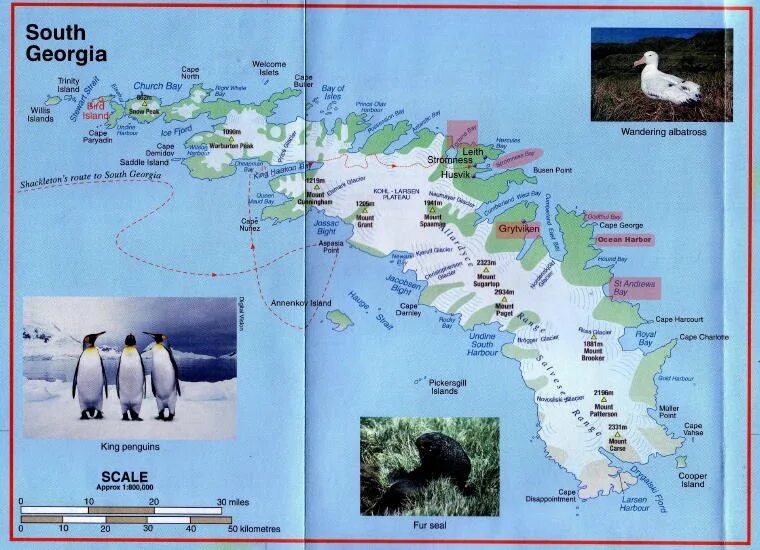 Пойнт немо. Остров южная георгия на карте мира. Южная георгия на карте. Южная джорджия и южные сандвичевы острова на карте. Южная джорджия и южные сандвичевы острова.