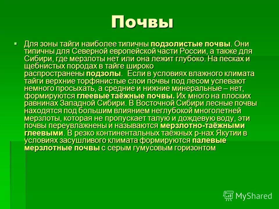 Средняя тайга почвы. Почвы тайги.