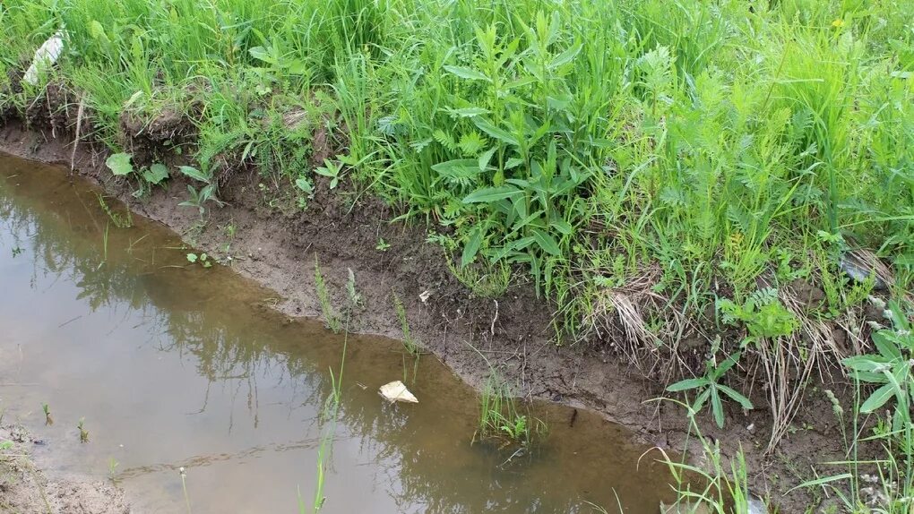 Большая канава. Нагорные водоотводные канавы. Водная канава. Водоотводная канава. Водная канава.