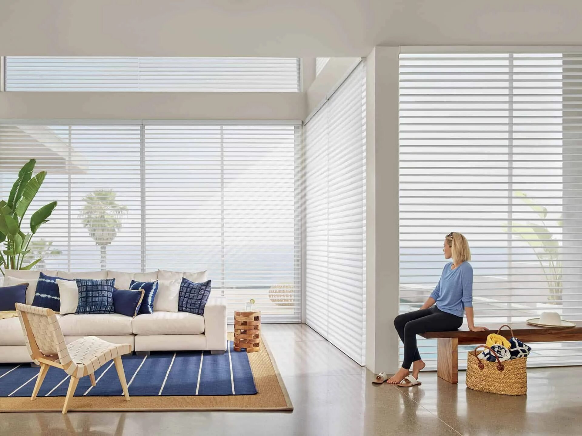 Лучшие горизонтальные жалюзи. Плиссе hunter douglas. современные жалюзи. жалюзи в интерьере квартиры. современные жалюзи на окна.