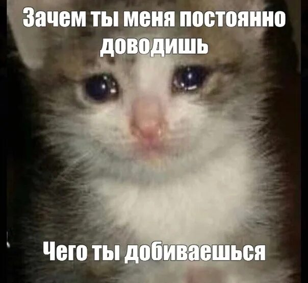 Ти худший. Ти худший