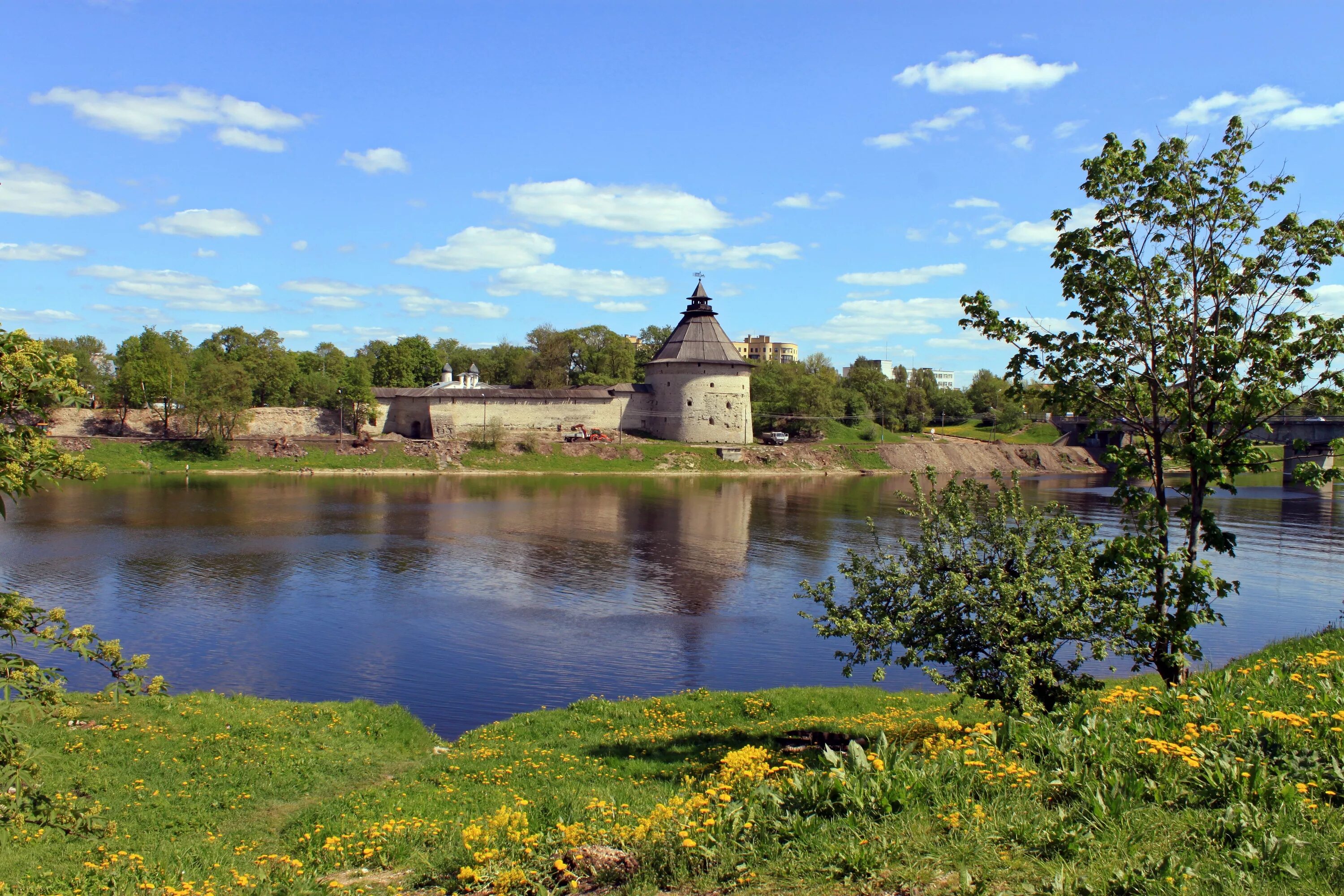 Псковская обл фото. Река великая псковская область. псков река великая и пскова. берег реки великой псков. псков великая остров.
