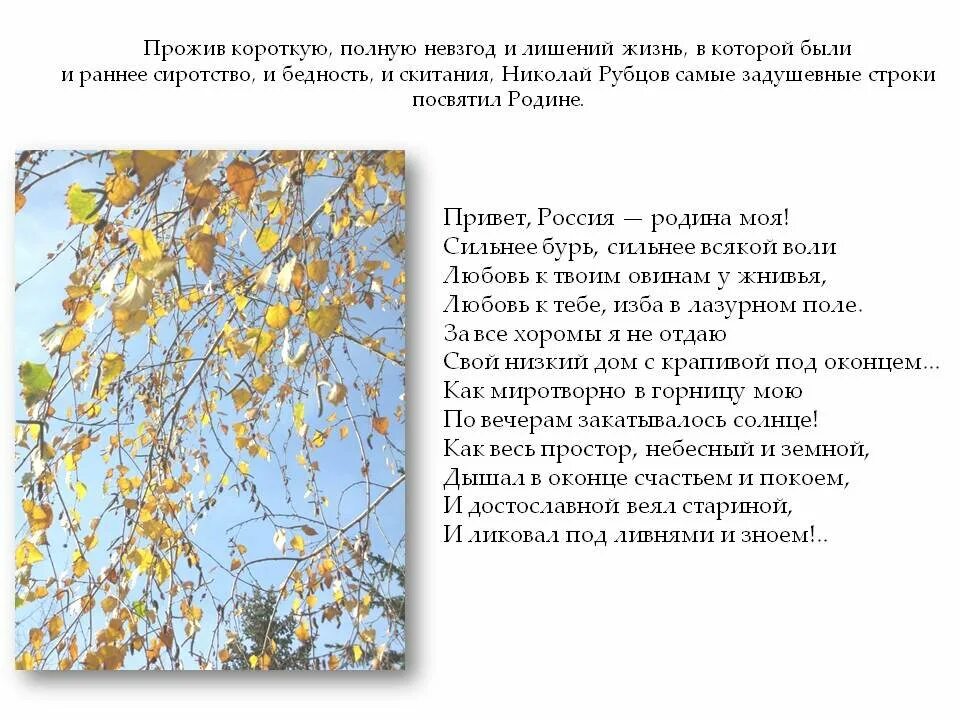 По вечерам рубцов анализ. Стихотворение Николая Рубцова привет Россия. Привет Россия Родина моя рубцов стих.