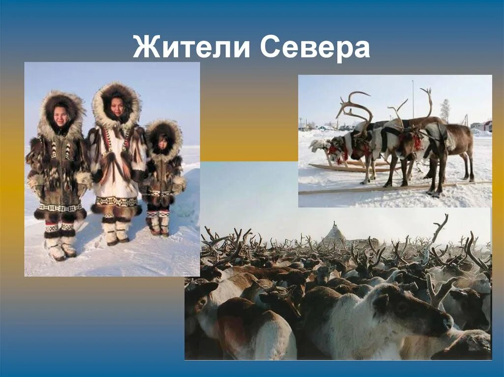 Якуты, ханты, манси. Север эскимосы. Стойбище оленеводов в тундре. Жители севера книга. Презентация жители севера для дошкольников.