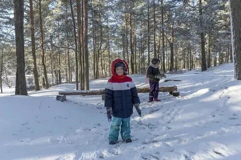 Прогулки февраль
