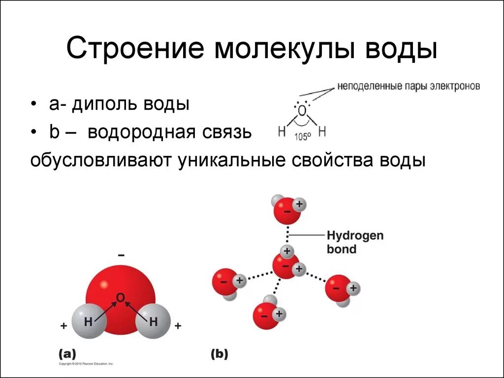 Молекула воды образована связью. Строение молекулы воды схема. Структура воды схема. Схема структуры молекулы воды. Структура воды диполь.