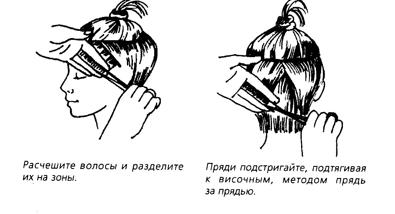 Метод прядь на прядь. Прядь за прядью метод стрижки. метод стрижки прядь на прядь. прядь на прядь схема. схема подравнивания волос.
