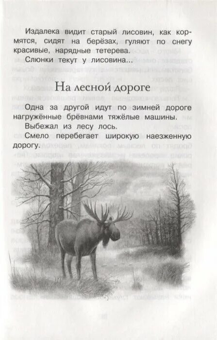 Год в лесу книга Соколов Микитов. Год в лесу. Соколов-Микитов и.с. Махаон. Соколов-Микитов рассказы о природе. Год в лесу книга. Соколов микитов рысь