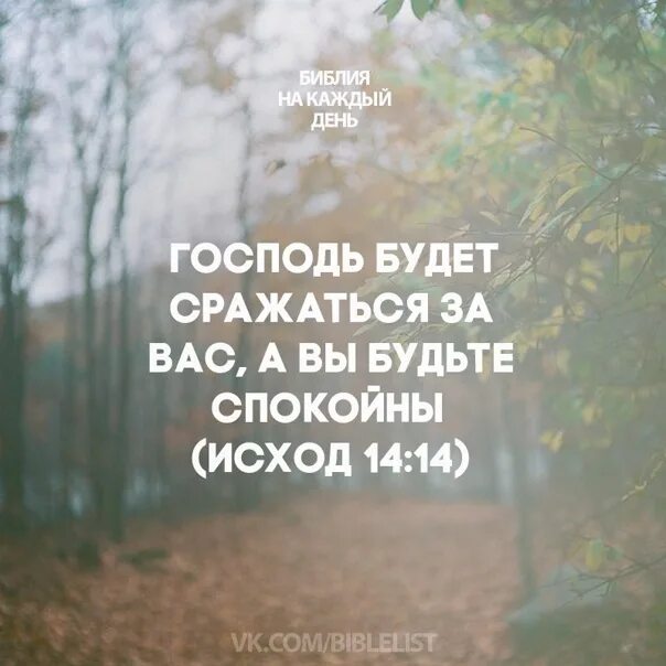 Будьте проще господа. Будьте спокойны Господь будет сражаться за вас. Господь будет сражаться за вас а вы. Господь с Библией. Господь будет поборать за вас а вы будьте спокойны.