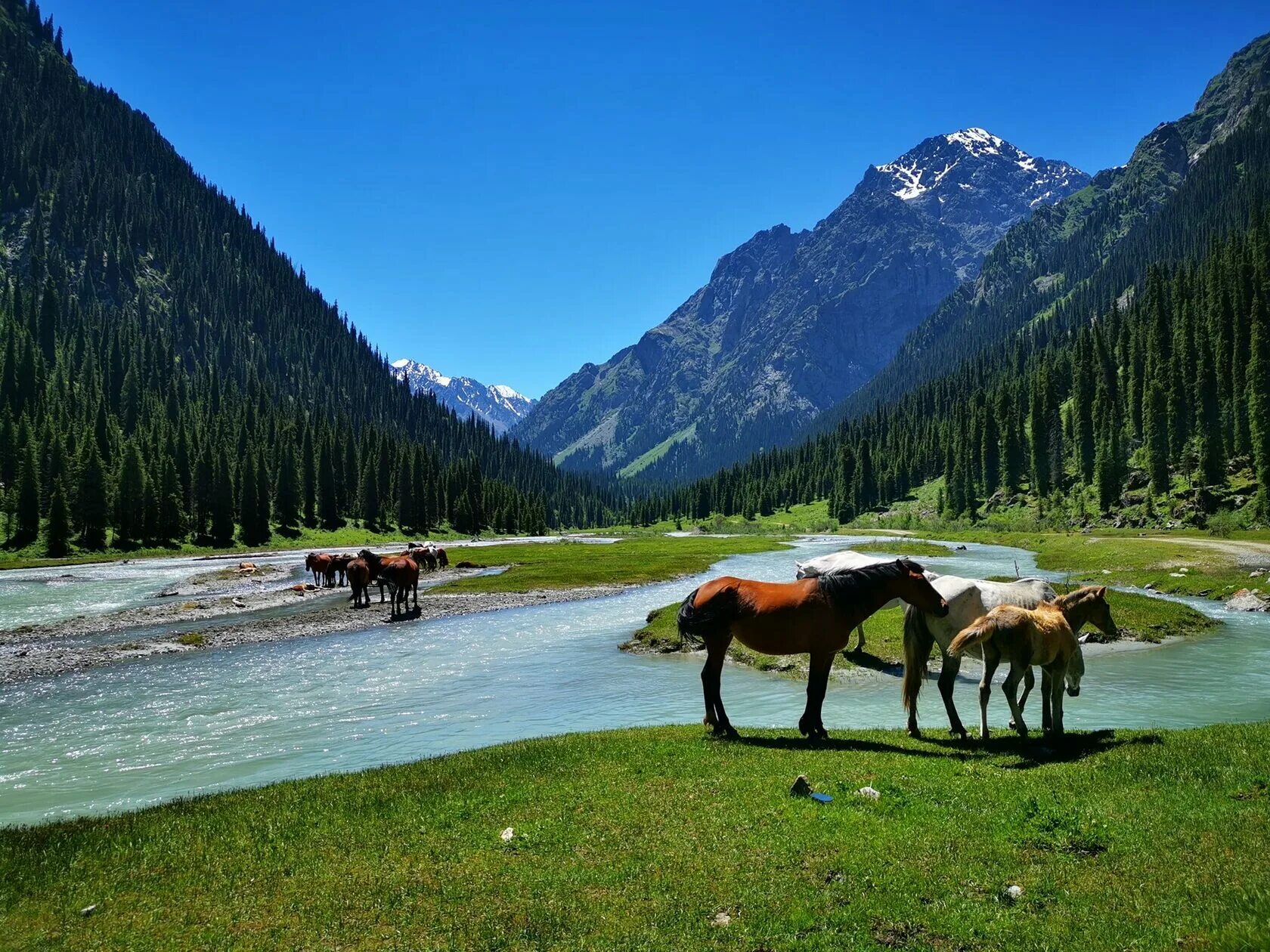 Южная киргизия. Киргизия горы Долина Арашан. Киргизия ущелье Арашан. Киргизия горы Каракол.