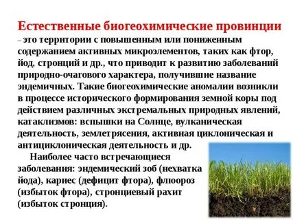 Способы очистки почвы
