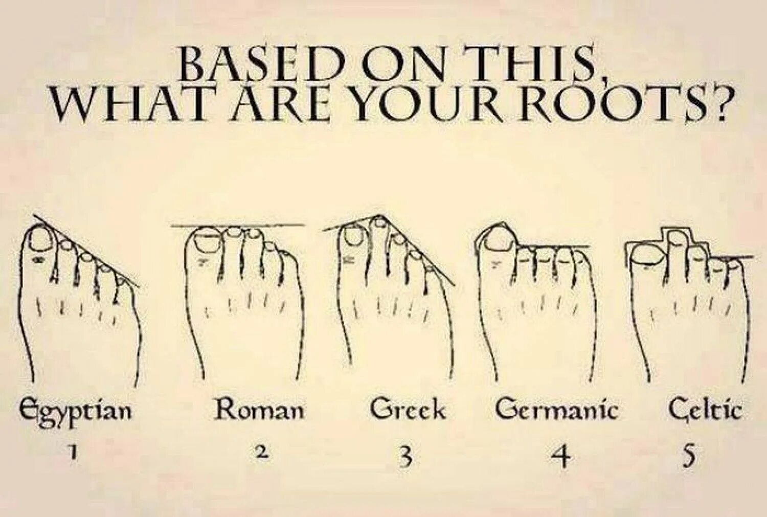Что означает нога на ногу у мужчин. Пальцы на ногах римлянин Грек. Определение по пальцам ног национальности. Национальность по пальцам ног. Типы расположения пальцев на ноге.