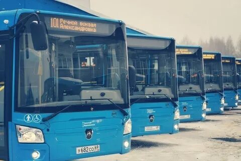 Автобус г тверь