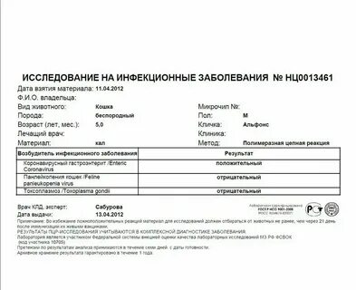 Как узнать результат на коронавирус