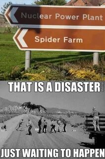What could go wrong