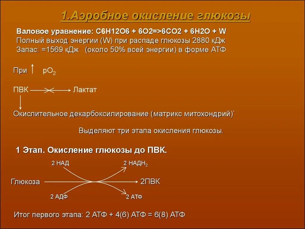 2 Этап аэробного окисления Глюкозы. Фазы аэробного окисления Глюкозы. Суммарное уравнение окисления Глюкозы. Полное аэробное окисление Глюкозы. Аэробное окисление веществ