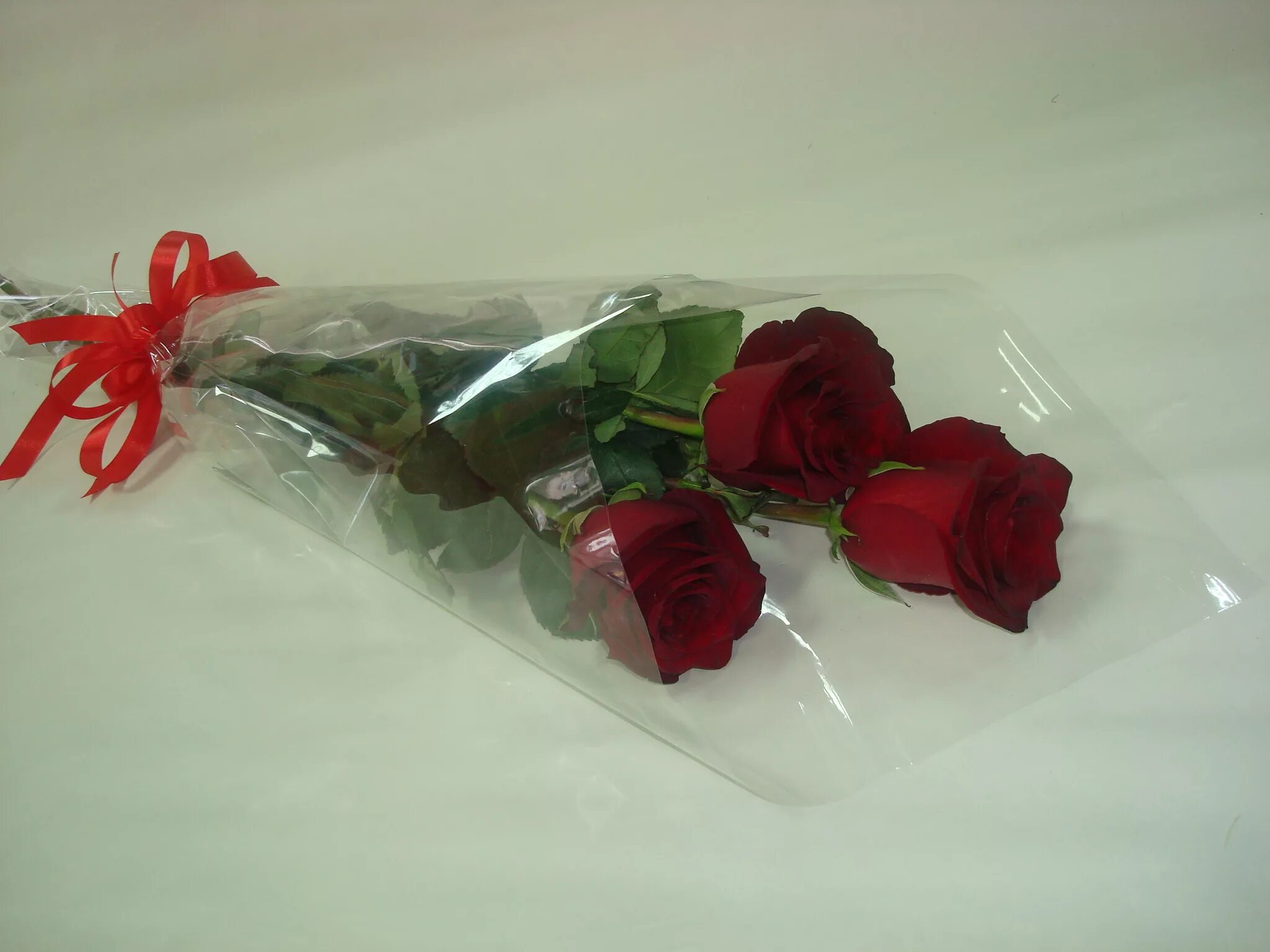 Розы в прозрачной упаковке. Цветы в прозрачной упаковке. Упаковка роз в слюду.
