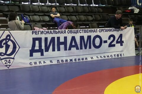 Роо динамо