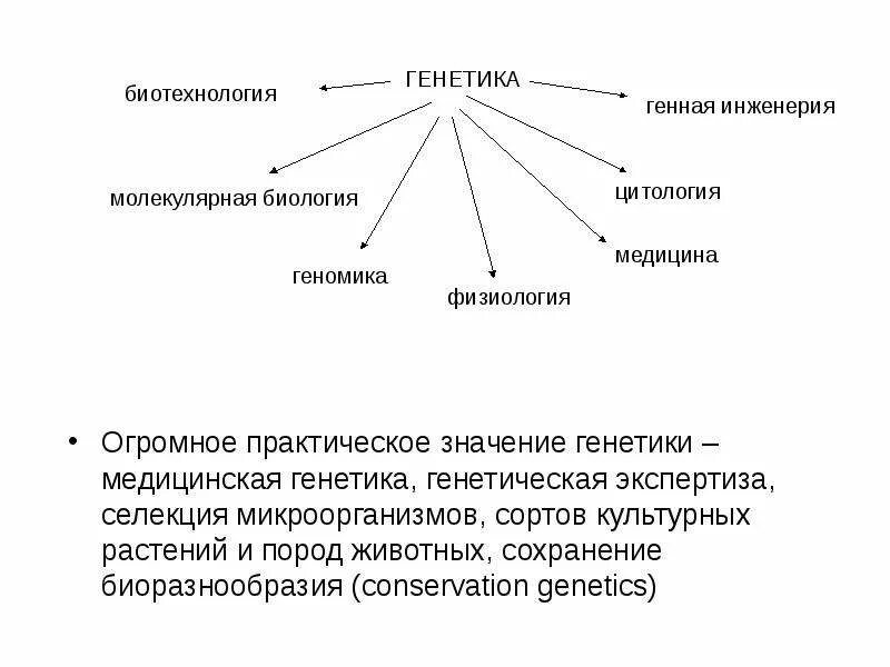 Генетика практика. Схема разделы генетики человека. Практическое значение генетики. Значение генетики для человека. Практическое значение генетики кратко.