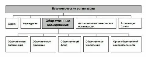 2 формы общественных объединений