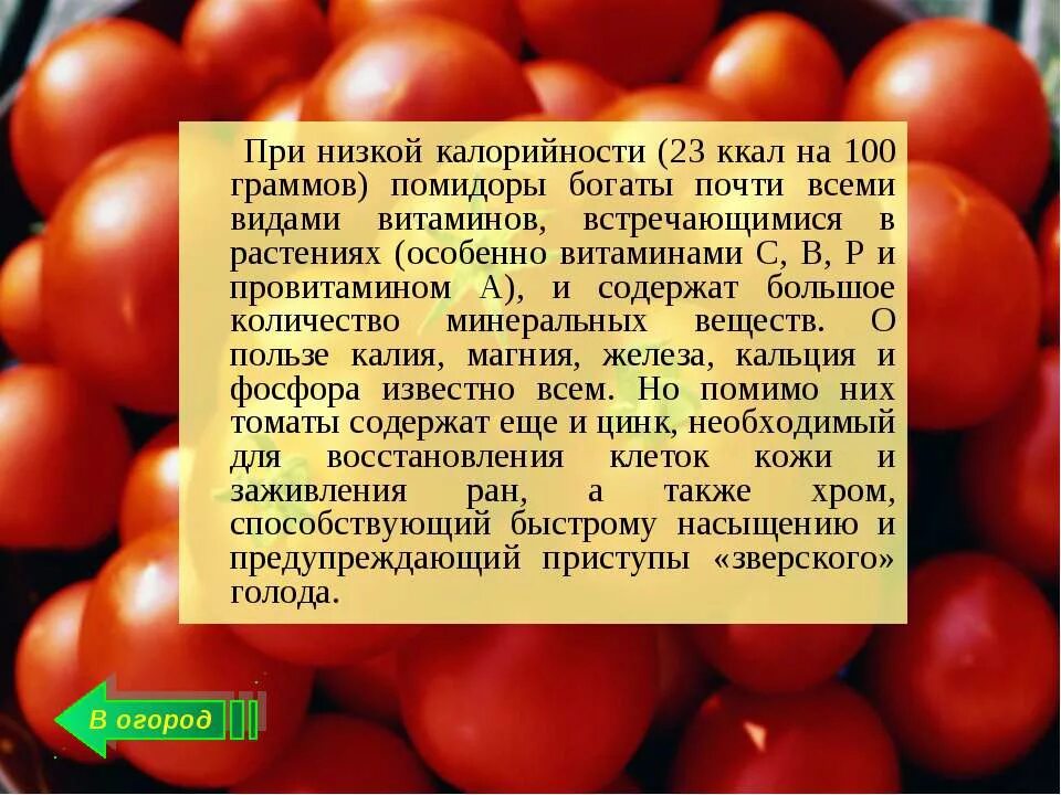 Сколько калорий в томате. Калории в помидорах свежих. Помидор калорийность. Калорийность помидора свежего. Помидоры калории на 100 грамм.