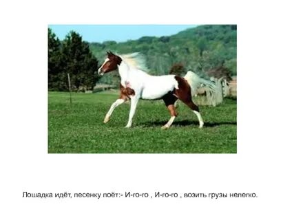 Тест про лошадей