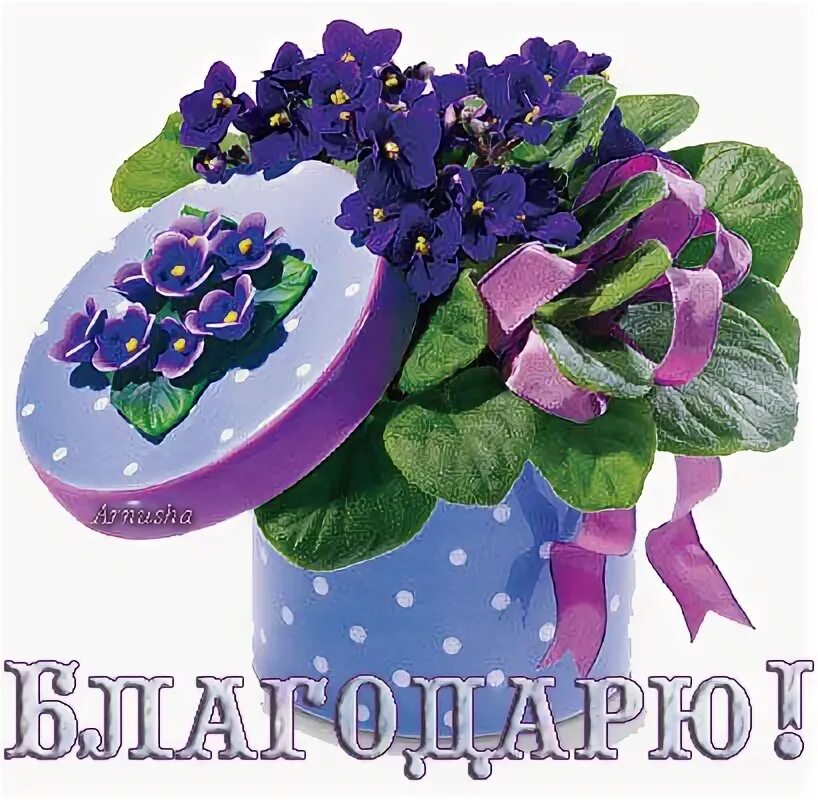 С днем рождения фиалки. С днём рождения советские открытки. С днем рождения фиалки. С днем рождения фиалки. Композиция из фиалок.