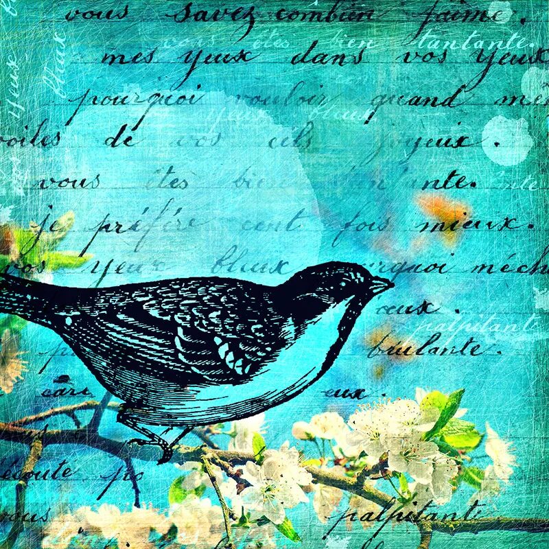 Письмо от птички. Голубь с письмом в клюве. Птица с конвертом. Птичье письмо. Письмо от птиц для детей.